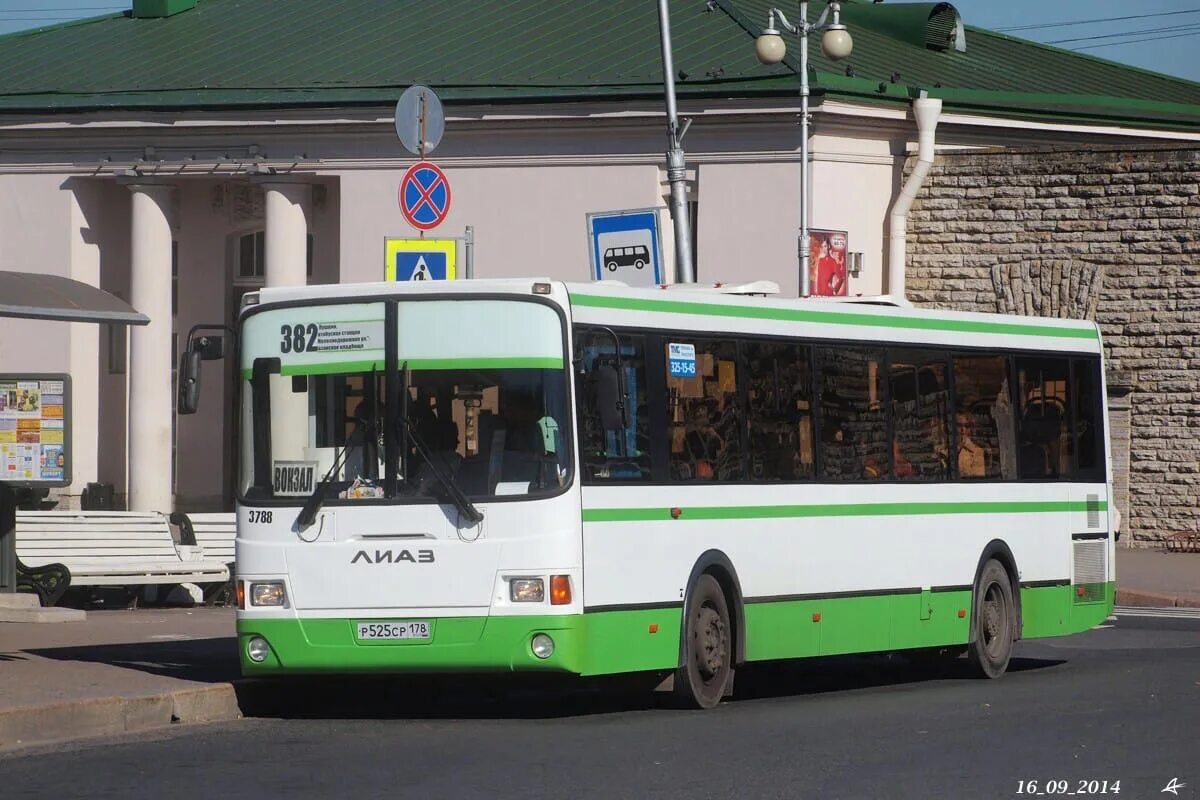 Автобус 382. 545 Автобус. Автобус Пушкин. 382 Автобус Москва.