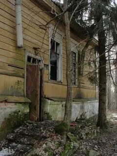 Поселок кобрино ленинградская область