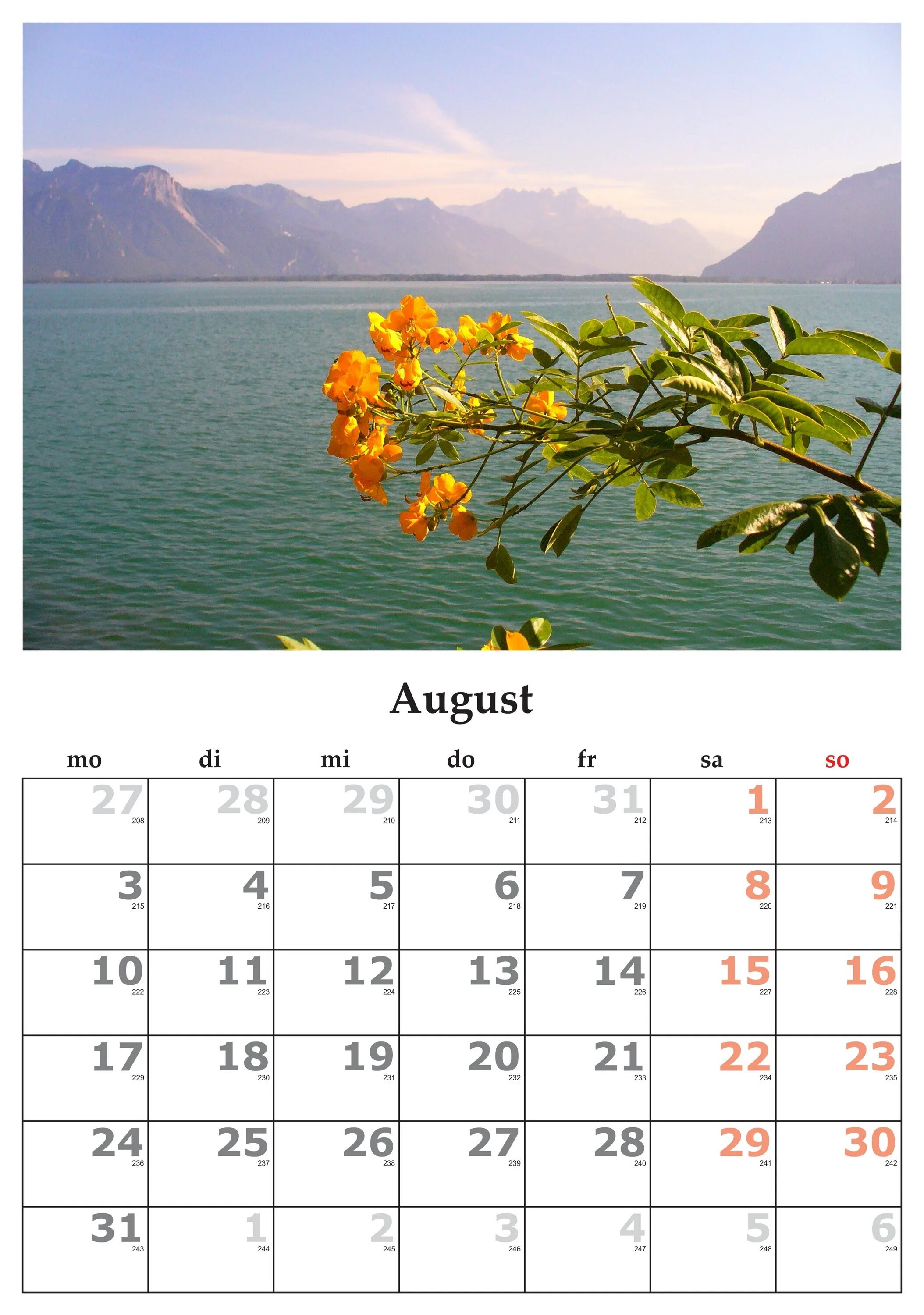 Календарь сентября показать. Календарь август. Календарь на месяц. Календарик на август. Календарь картинка.