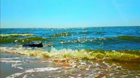Азовское море мариуполь