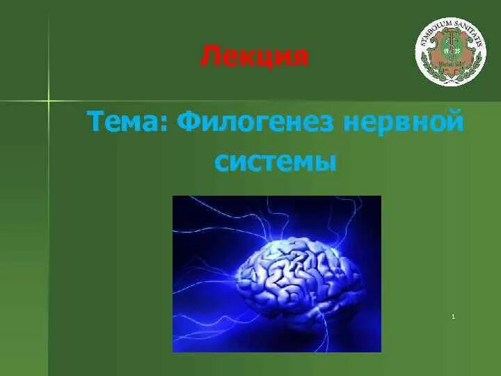 Филогенез нервной. Филогенез нервной системы. Филогенез нервной системы таблица. Лекция по теме филогенез. Филогенез нервной системы схема.