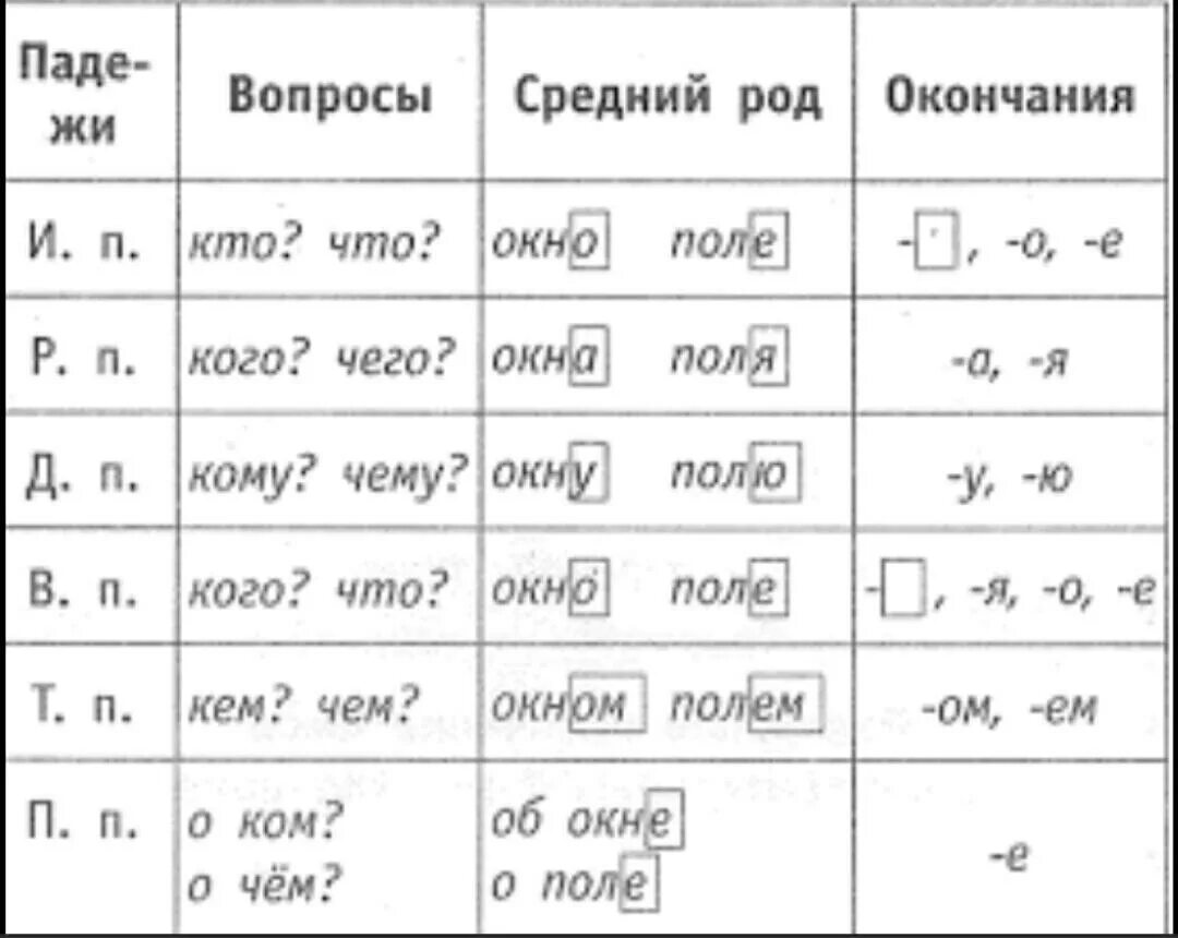Падежи существительных среднего рода. Окончания имен существительных 2-го склонения. падежи и падежные окончания имен существительных. кому чему окончание. кого чего окончание.