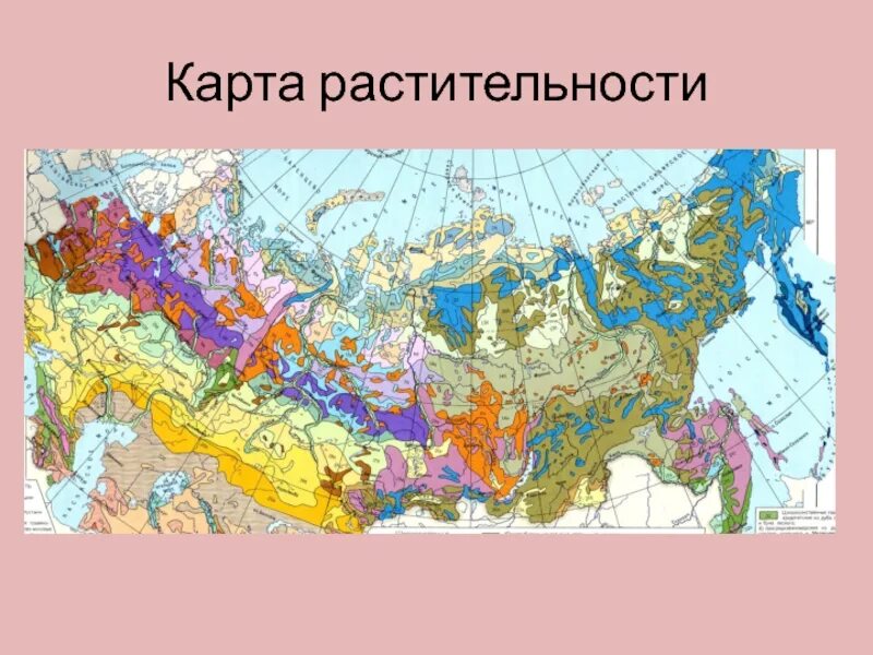 Растительная карта россии. Карта растительности. Карта растительности Росси. Зоны бореального пояса. Почвенно-биоклиматический пояс.