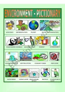 Environmental words