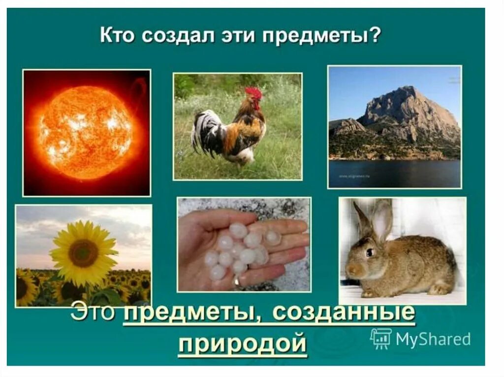 Объекты природы созданные человеком. Объекты природы рукотворные объекты. Природа и предметы созданные человеком. Природные и рукотворные предметы. Природа и предметы создания человеком.