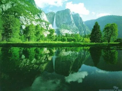 The natural world