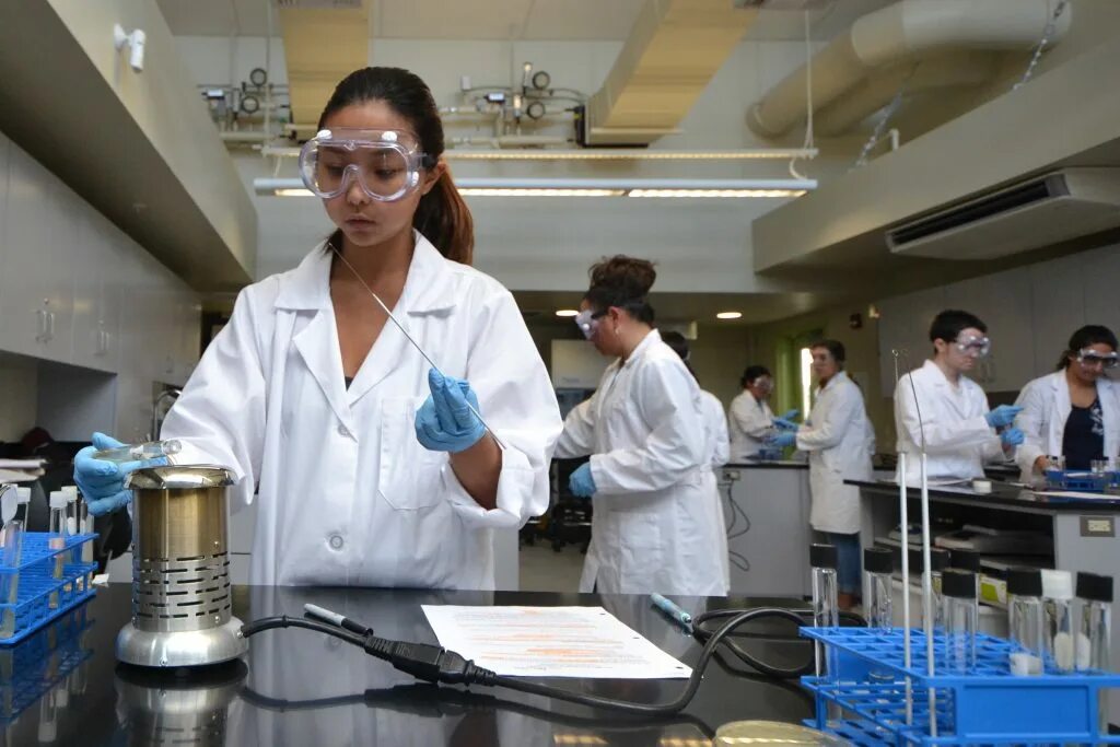 Scientific degrees. Faculty of science. scientific degree. надпись faculty of science. hawaiʻi community college.