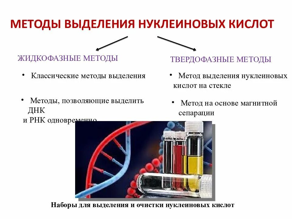 Методы исследования нуклеиновых кислот. Методы изучения структуры ДНК. Охарактеризуйте основные методы выделения нуклеиновых кислот.. Методы очистки нуклеиновых кислот.