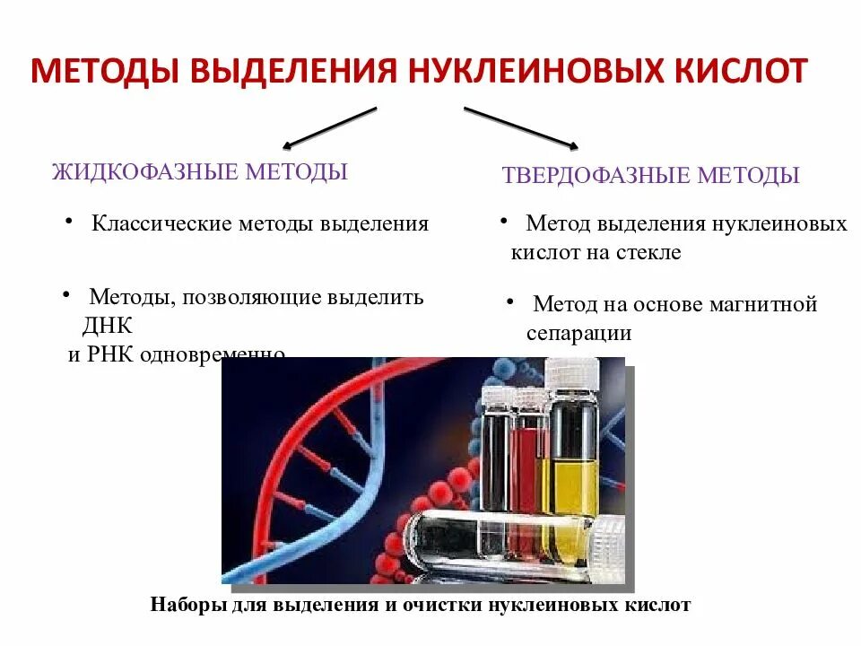 Какие методы можно использовать для выделения. Методы исследования нуклеиновых кислот. Методы изучения структуры ДНК. Охарактеризуйте основные методы выделения нуклеиновых кислот.. Методы очистки нуклеиновых кислот.