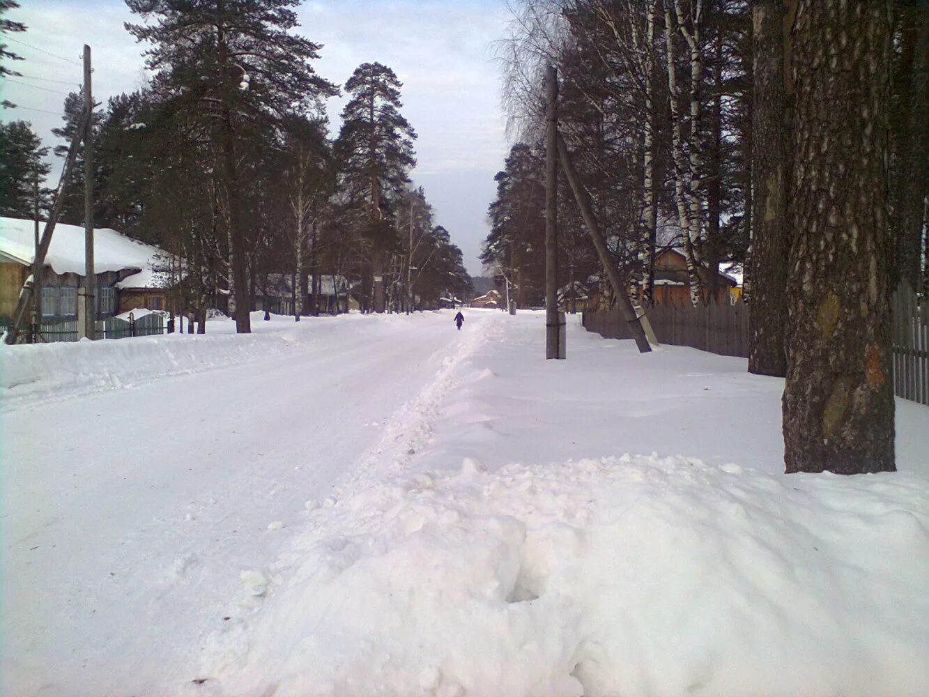 воробьёвица. воробьевица костромская область. вохомский р-н талица. воробьевица клеопины. воробьевица костромская область.