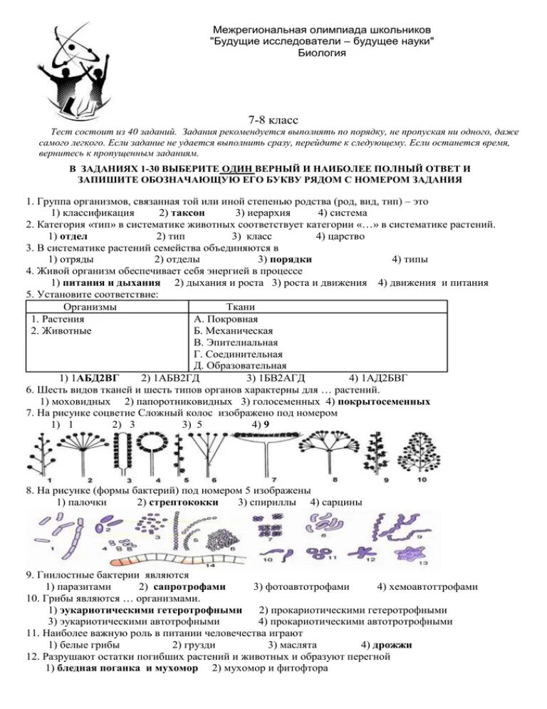 Разбираем задания олимпиады по биологии 5 класс. Олимпиаде задания по биологии 9 класс.