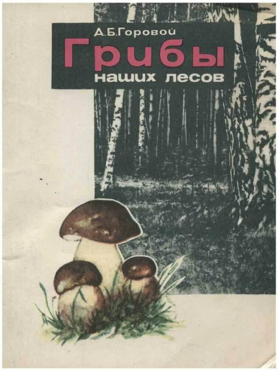 Книга про грибы. Грибы России книга. Грибы наших лесов. Книга о грибах средней полосы.