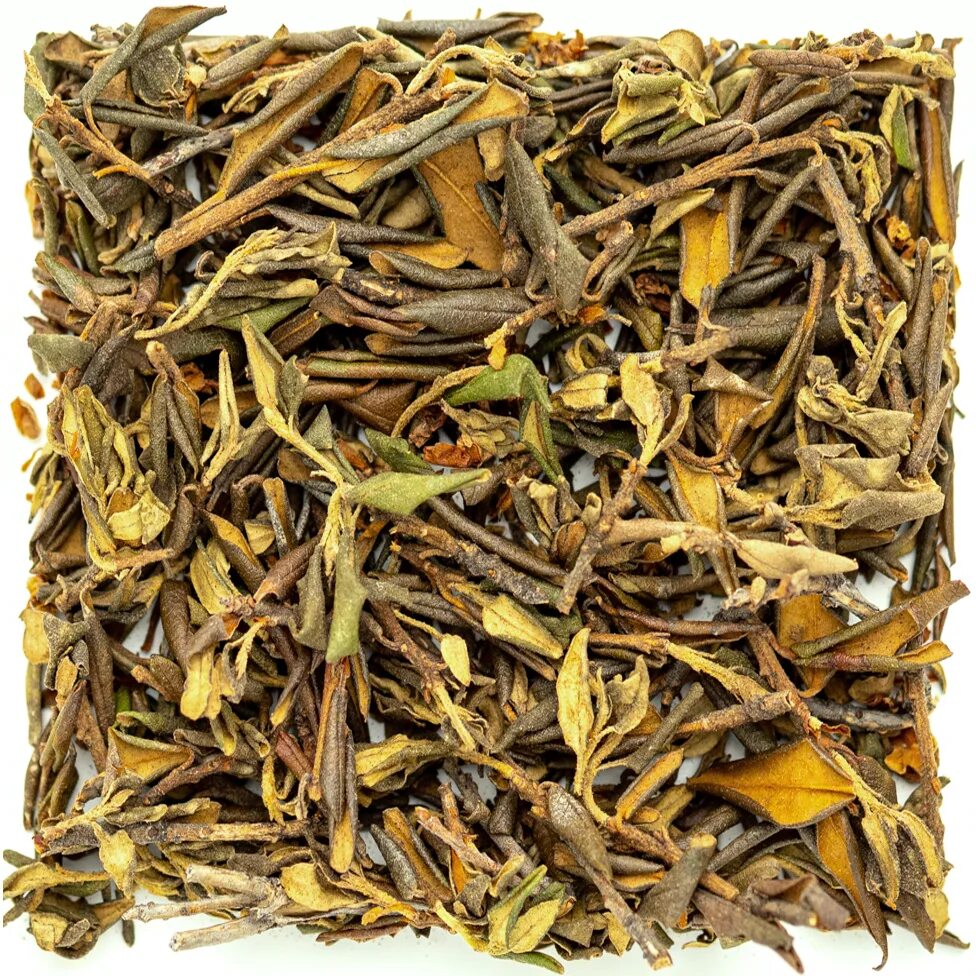 Дейля. Саган-дайля чай. Саган дайля рододендрон Адамса. Саган-дайля трава. Алтайский чай Саган-дайля.