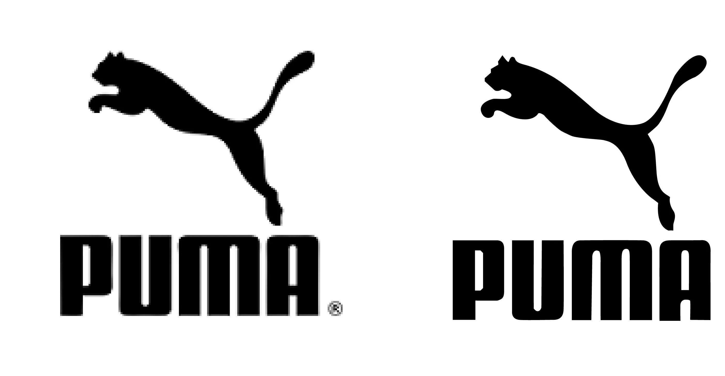 Пума лого. Puma логотип 2021. Логотип Пума без фона. Пума знак фирмы. Полное название пумы