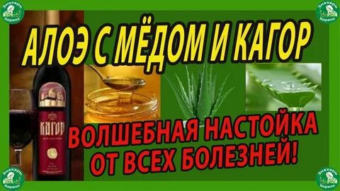Рецепт алоэ с кагором