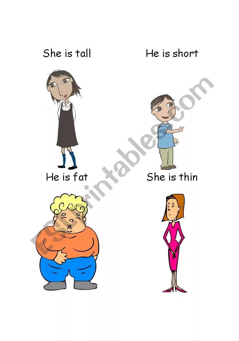 Tall short fat thin