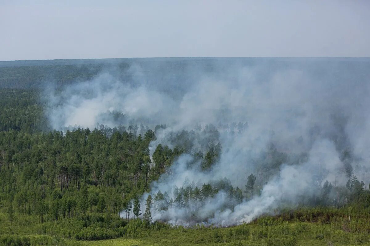 Погода береговой амурская зейский. Октябрьский Зейский район. Береговой Зейский район Амурская область. Природа Магдагачинского района. Пожары в Зейском районе.