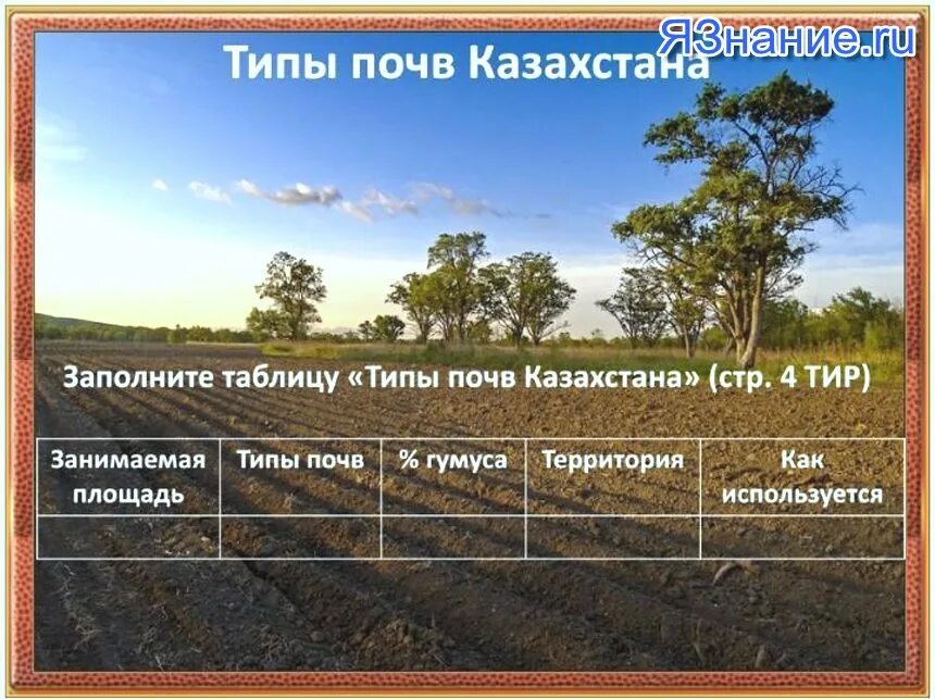 Типы рк. Структура таможенных органов казахстана. Типы почв казахстана карта. Типы рк. Типы почв на территории казахстана.