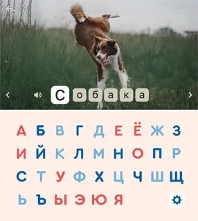 Дичь 6 букв
