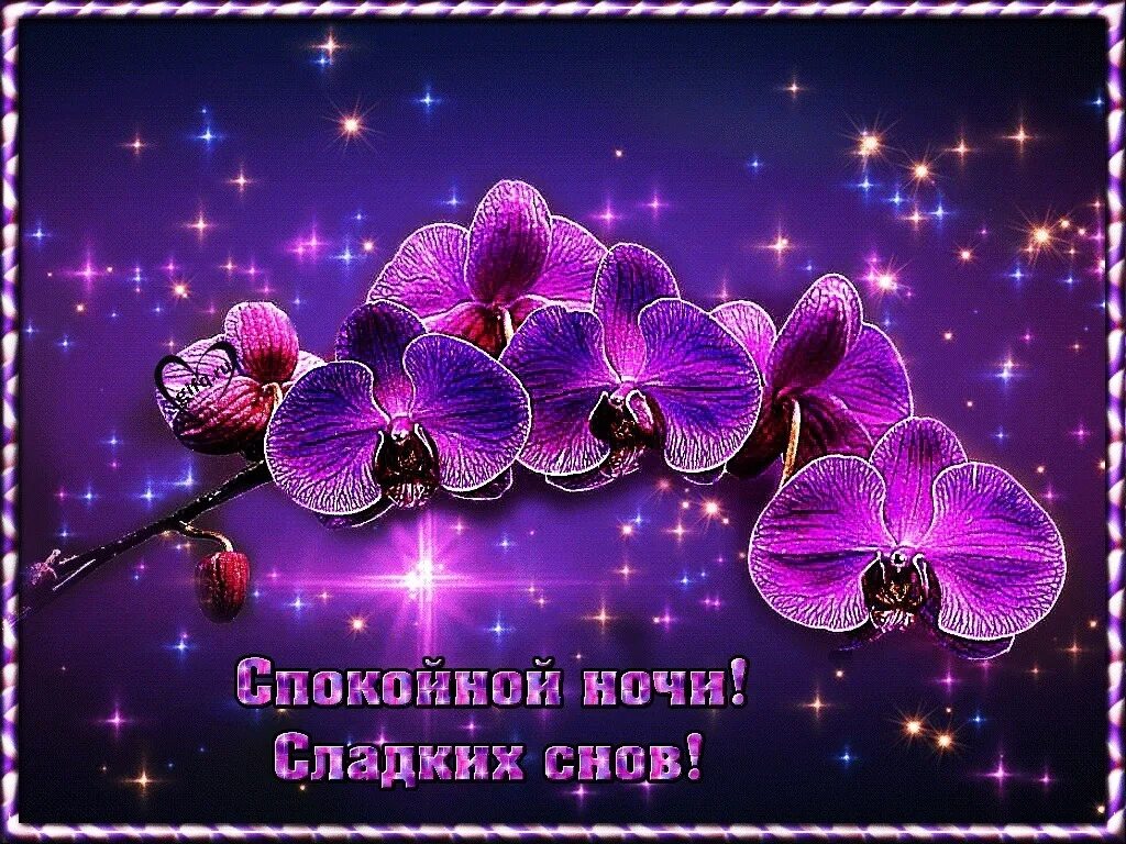 Мерцающие открытки спокойной ночи и сладких снов. Приятных снов мерцающие. Доброй ночи сладких снов. Приятных снов мерцающие. Доброй ночки сладких снов.