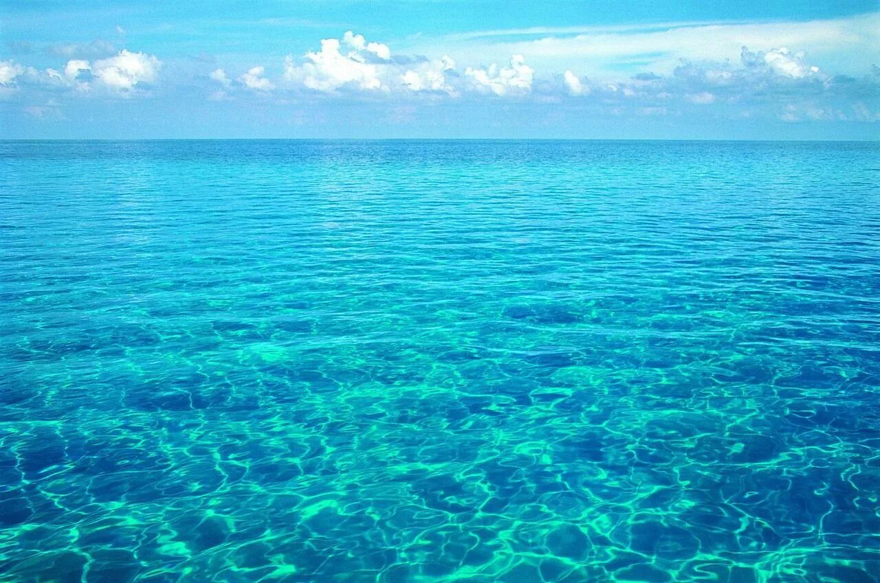 Вода океанов и морей составляет. Мальдивы Лагуна риф. Бирюзовая Лагуна Мальдивы. Карибское море Атлантический океан. Прозрачное море.