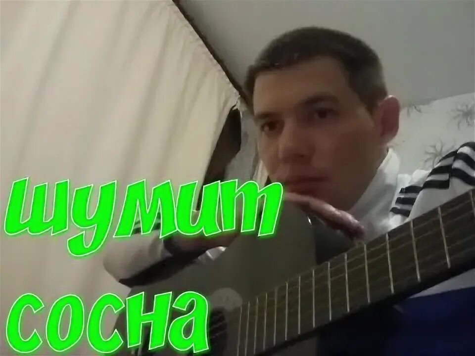 А река течет текст. Шумит сосна река жемчужная. Песни шумит сосна. Стоит сосна река текст. Песни шумит сосна.