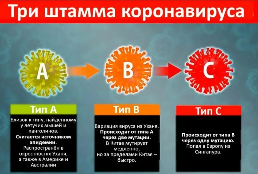 Признаки нового штампа короновируса. Симптомы нового штамма коронавируса. Дельта штамм коронавируса симптомы. Симптомы Дельта штамма. Какое количество коронавирусов