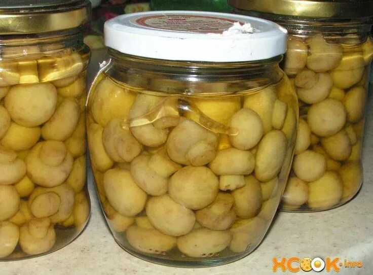 Что делают с шампиньонами на зиму