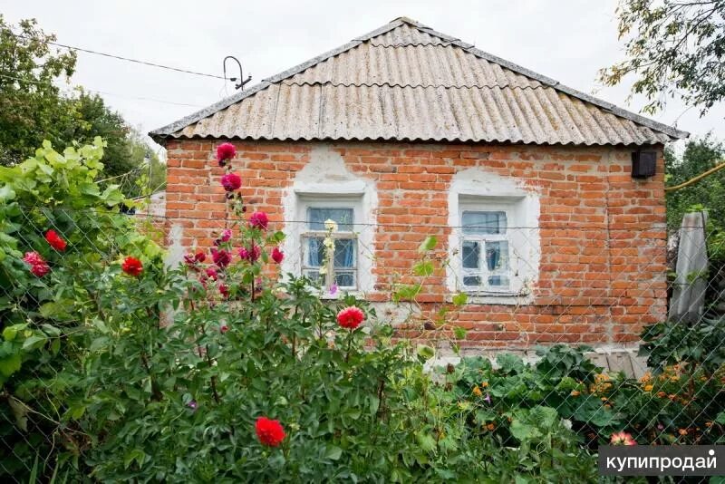 Драгунское Яковлевский район Белгородская область. Село Драгунское Яковлевского района Белгородской области. Село Драгунское Белгородского района. Дом село Белгородская область. Снять дом в белгородской области на длительный