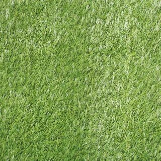 Grass 2