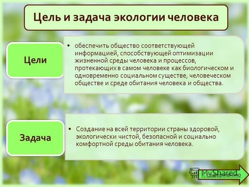 человек и окружающая среда задачи