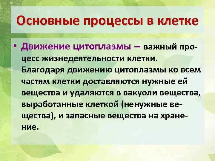 Движение клетки