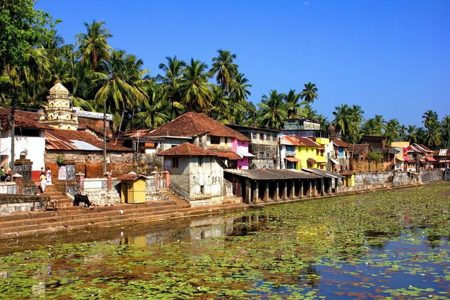 Пляж палолем. Южный гоа палолем. Деревня арамболь. Варанаси varanasi индия. Индия курорты гоа.