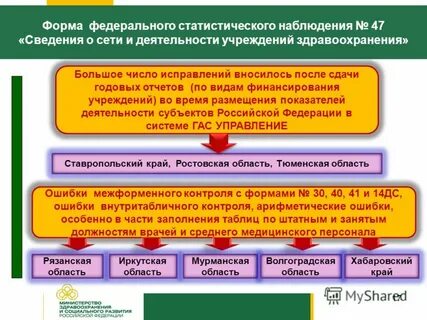 Форма федерального статистического наблюдения 1 год