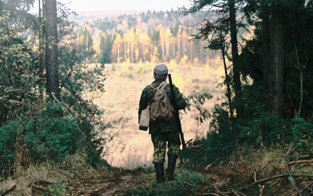 человек уходящий в лес. уходили на день в лес. тропинка уходящая в лес. потерялся в лесу. одинокий лес.