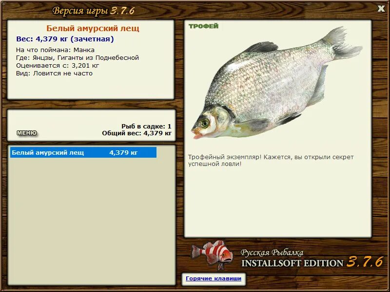 амурский лещ. 5 подкаменная тунгуска лещ восточносибирский. амурский пескарь линь. реальная рыбалка амурский лещ. черный лещ реальная рыбалка.