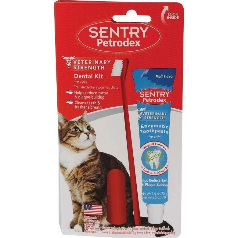 Как дать кошке пасту. Dental Care зубная паста для котов. Зубная паста и щетка для кошек. Кот с зубной щеткой и пастой. Зубная паста и зубная щётка для котят.