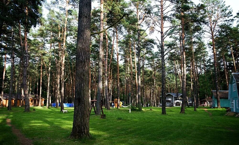 истра холидей трусово. сплав на байдарках в подмосковье с детьми. судогда сплав на байдарках. золотая долина вейк парк. лада холидей истра.