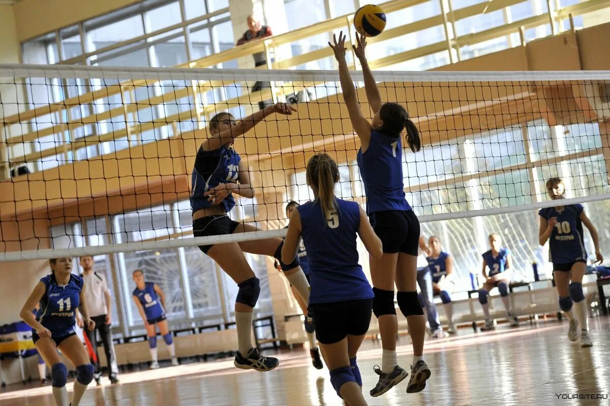 Школьный волейбол девочки. Волейбол девушки школа. Школьный волейбол девушки. Школьная команда по волейболу. Школьный волейбол девочки.