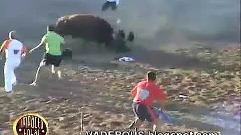 После быка идет. Китайский гороскоп животные. Искусственное осеменение коров. После быка идет. Искусственное осеменение коров.