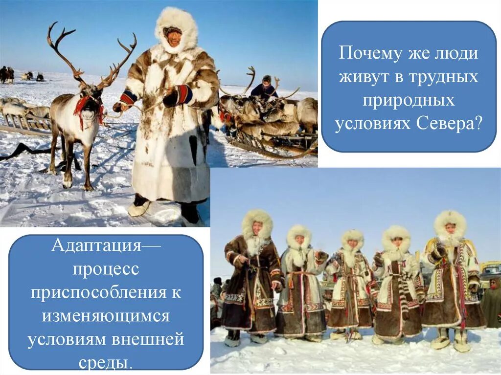 Естественных условиях живет. Адаптация человека к природным условиям. Приспособление человека. Приспособления человека к различным природным условиям. Приспособление человека к окружающей среде.