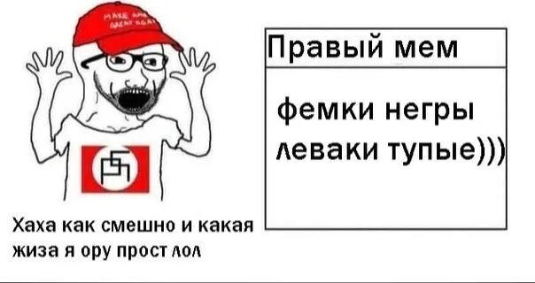 Тупые праваки. Кто такие праваки. Кто такие праваки. Правые мемы. Леваки и праваки.