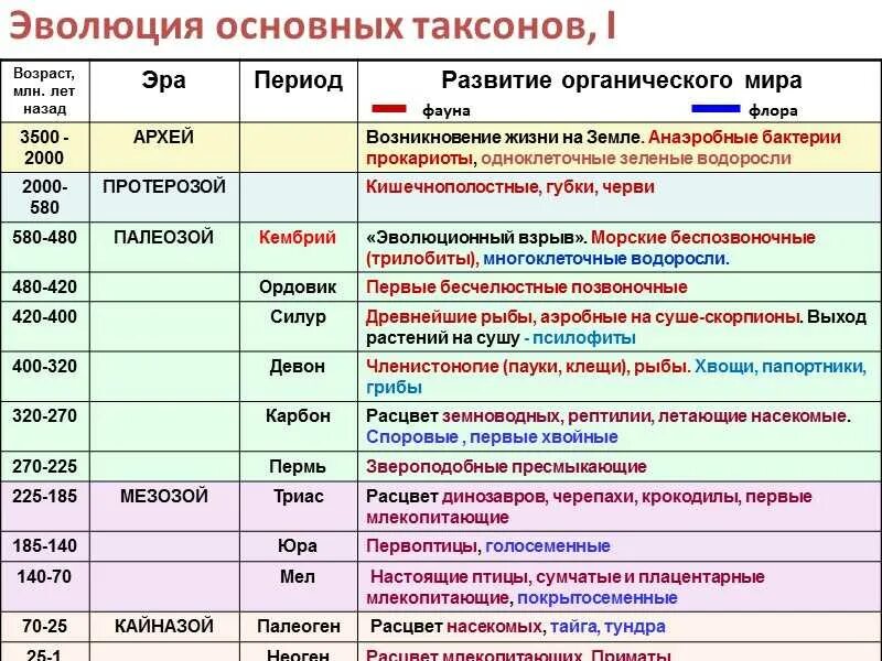 Тест по биологии возникновение жизни на земле. Основные этапы развития жизни. Этапы развития жизни на земле таблица 9. Таблица по биологии этапы развития жизни на земле 9.