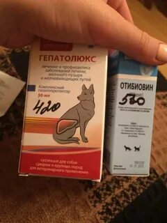 Гепатолюкс для кошек
