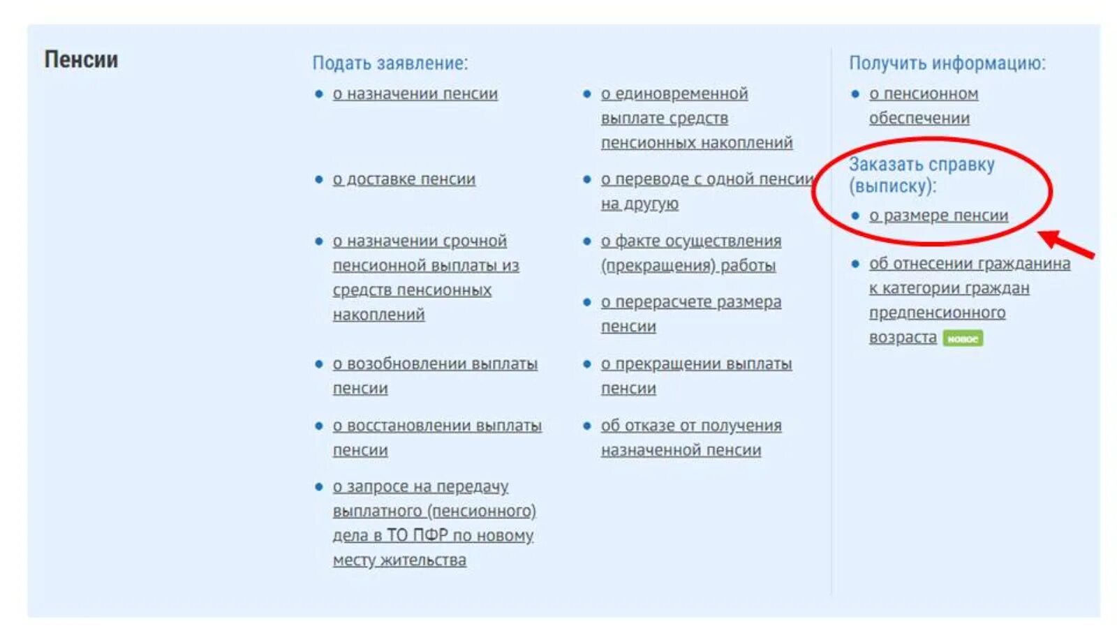 Получить пенсионную выписку