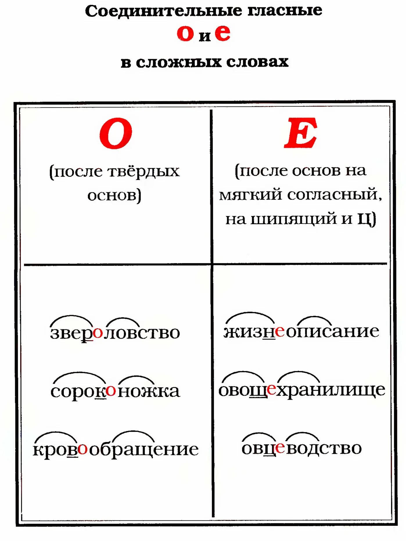 Основа сложных словах с соединительной гласной. Правописание соединительной гласной в сложных словах. Правописание сложных слов соединительные гласные о и е. Соединительные гласные о и е в сложных словах правило. Правило написания соединительной гласной в сложных словах.