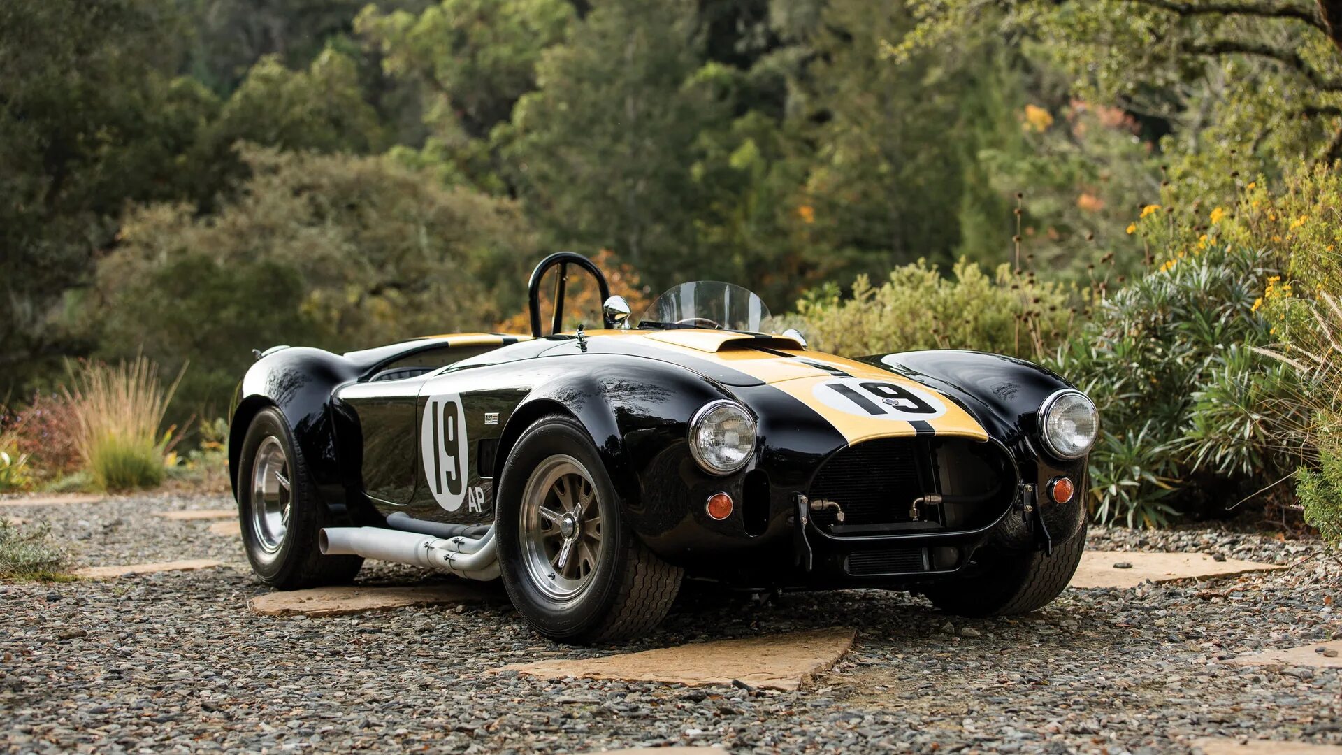 Cobra 427. AC Shelby Cobra 427. Шелби Кобра 1965. Машина Shelby Cobra 427. Ford Shelby Cobra.