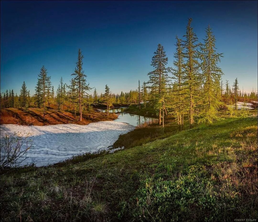 Красота северного края. Пейзажи россии. Северный лес киров. Река печора осень. Северное сияние на ямале.