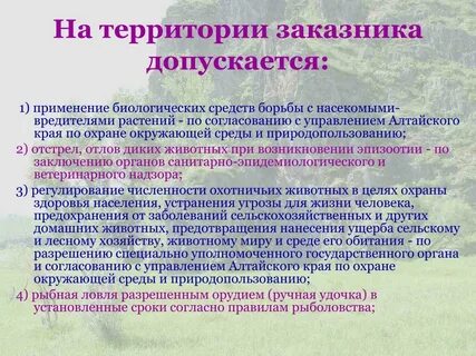 Разрешенная деятельность