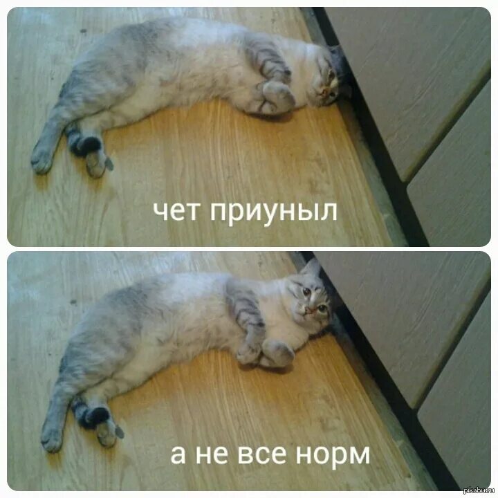 Приуныл слово. И приуныл. Че то приуныл. Приуныл картинки. Картинка что-то приуныл.